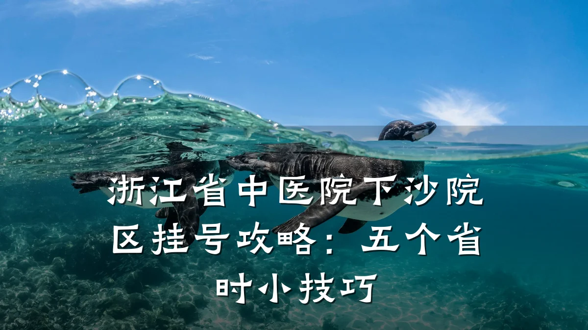 浙江省中医院下沙院区挂号攻略：五个省时小技巧
