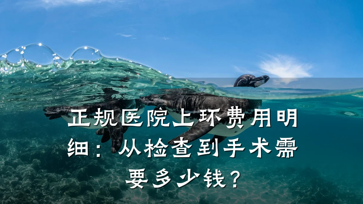 正规医院上环费用明细:从检查到手术需要多少钱?