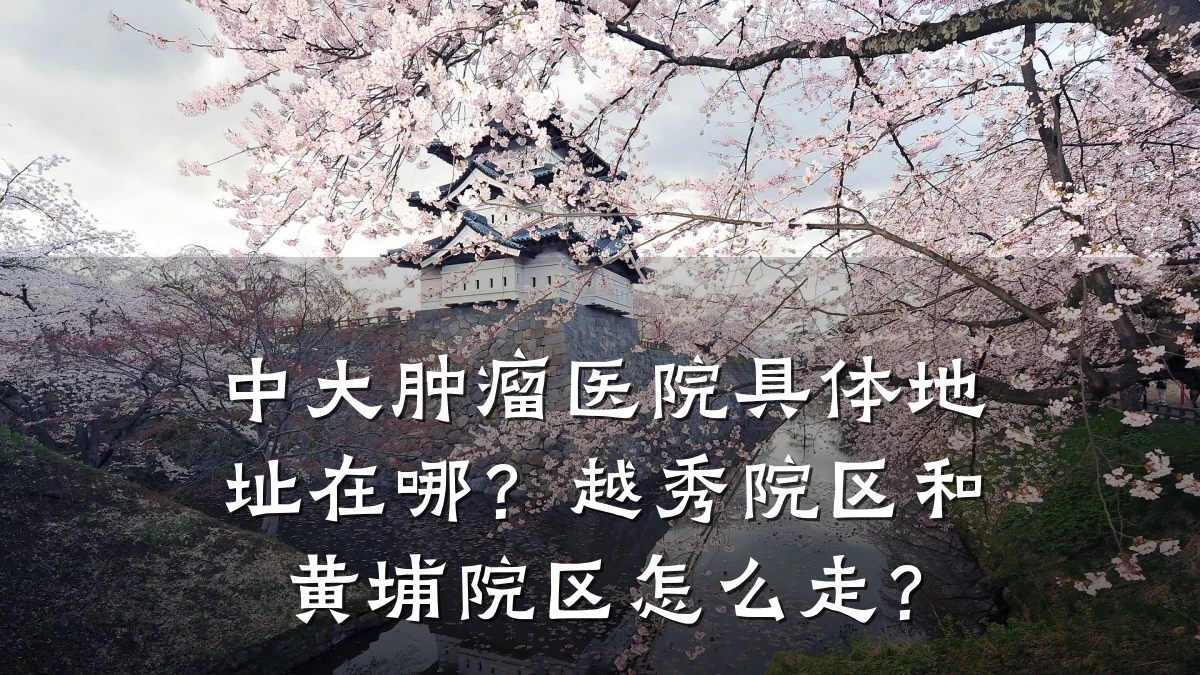 中大肿瘤医院具体地址在哪?越秀院区和黄埔院区怎么走?