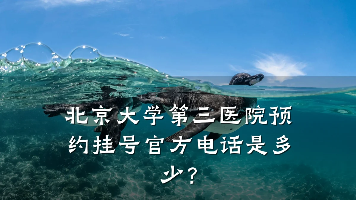 北京大学第三医院预约挂号官方电话是多少?