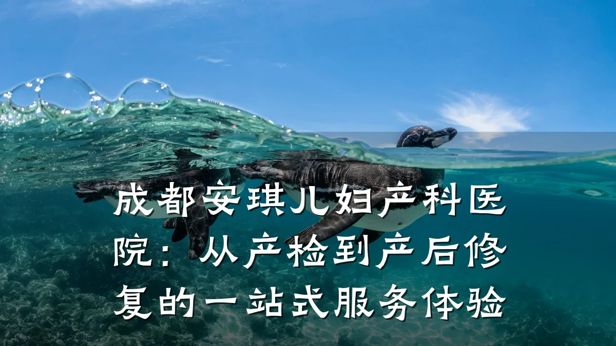 成都安琪儿妇产科医院:从产检到产后修复的一站式服务体验