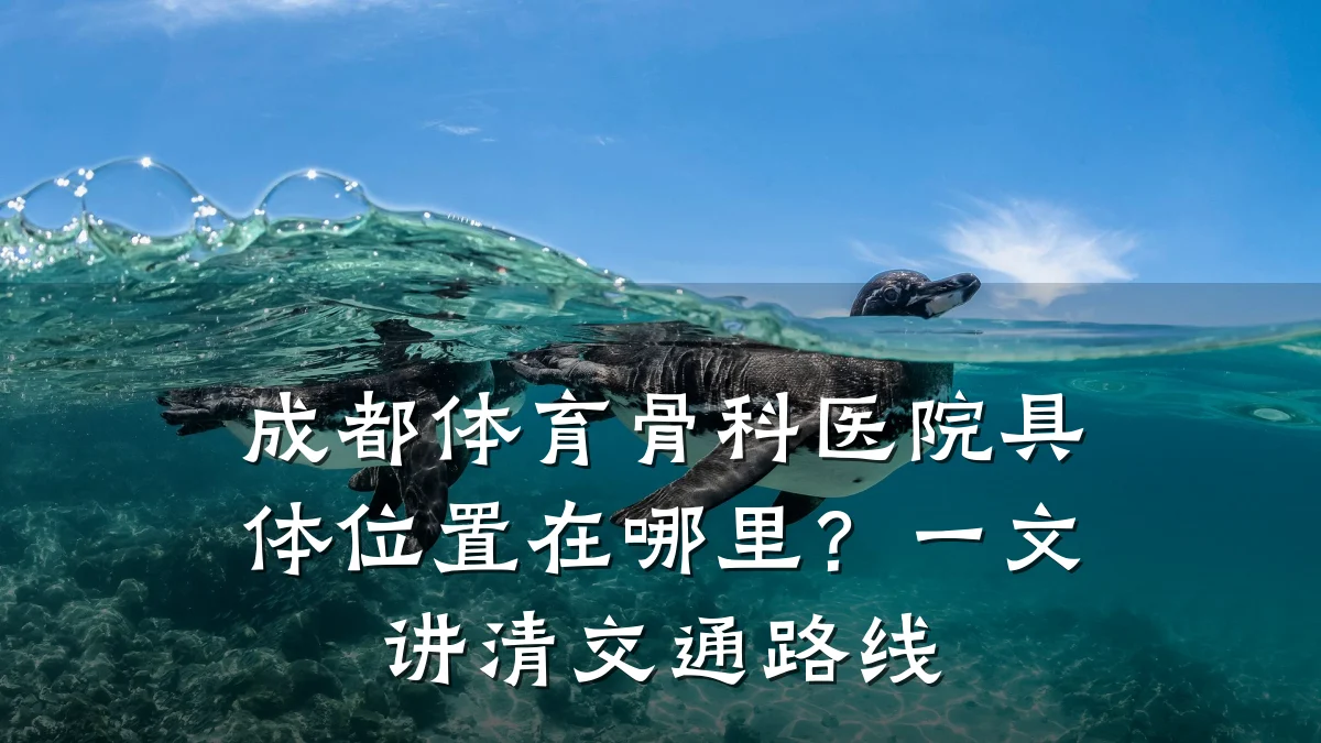 成都体育骨科医院具体位置在哪里?一文讲清交通路线