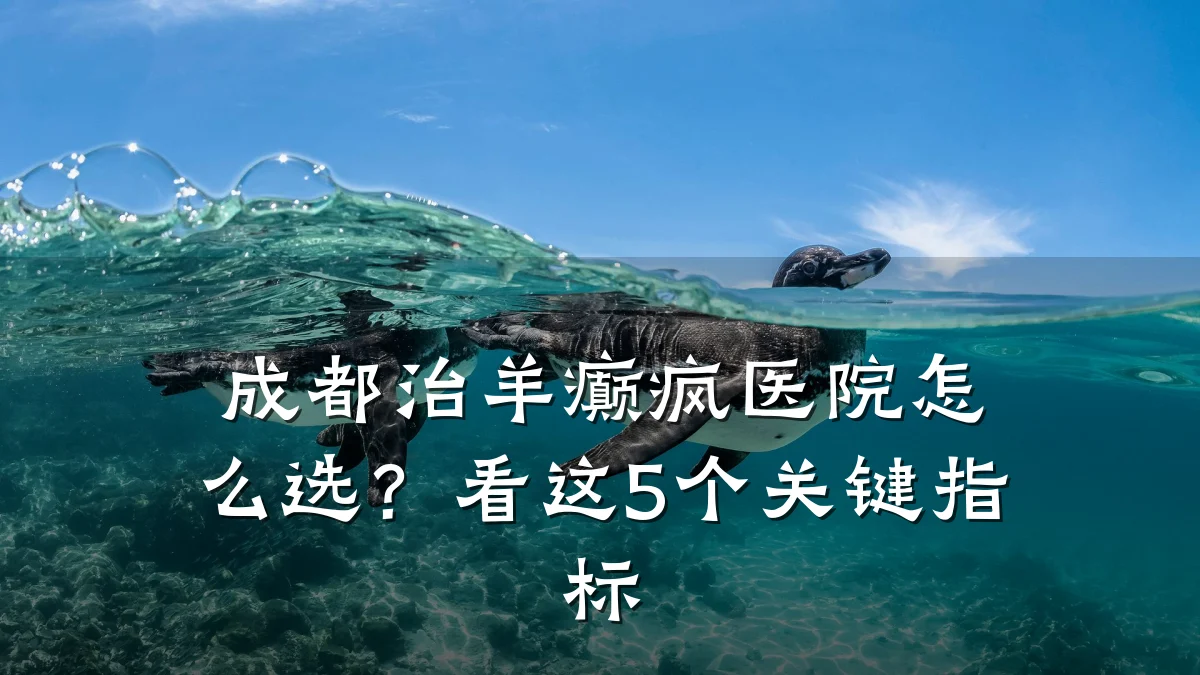 成都治羊癫疯医院怎么选?看这5个关键指标