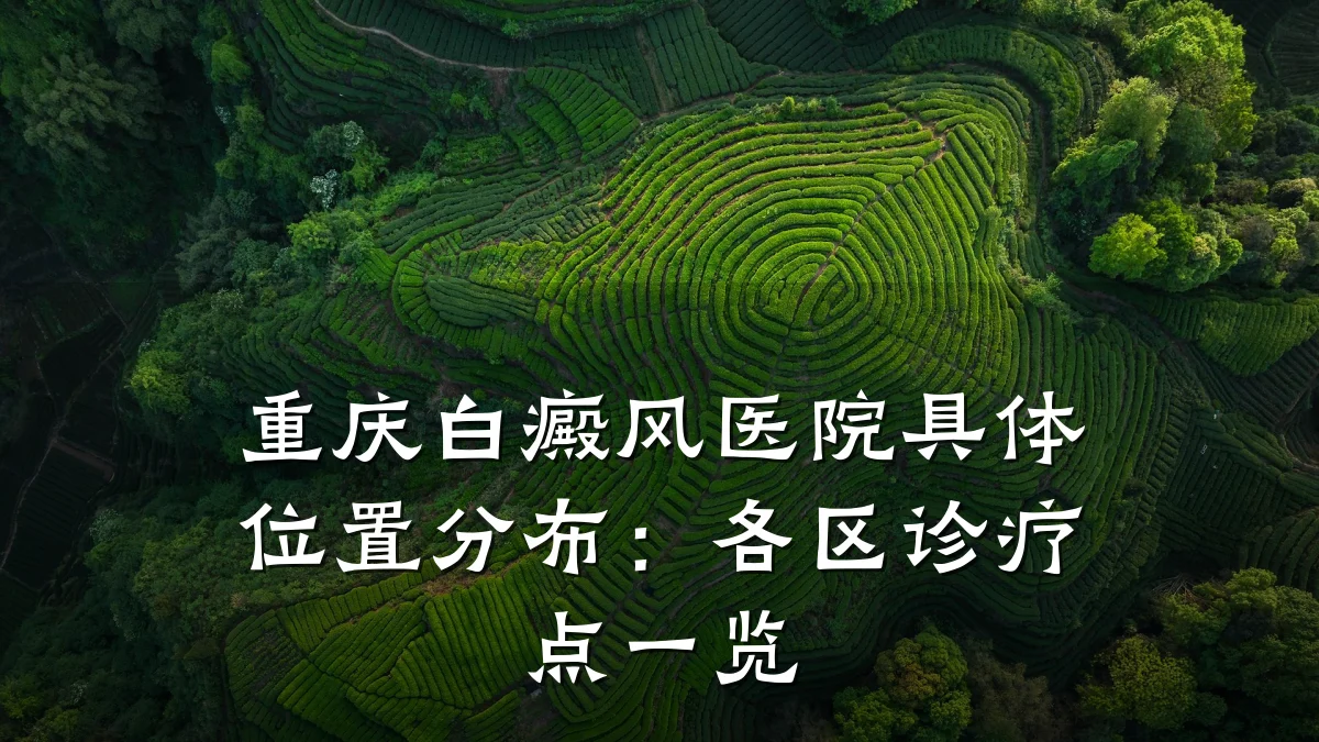 重庆白癜风医院具体位置分布:各区诊疗点一览
