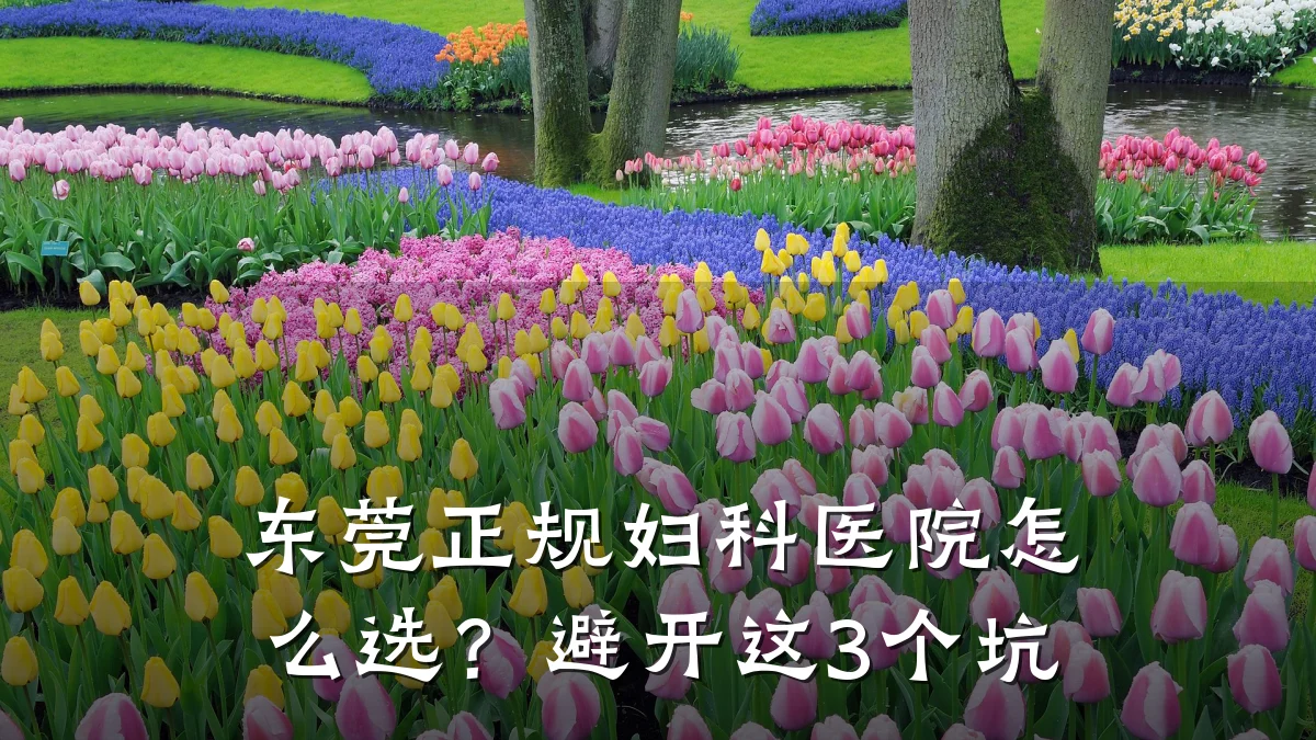东莞正规妇科医院怎么选?避开这3个坑