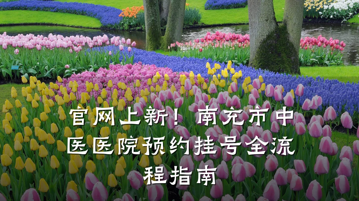 官网上新！南充市中医医院预约挂号全流程指南