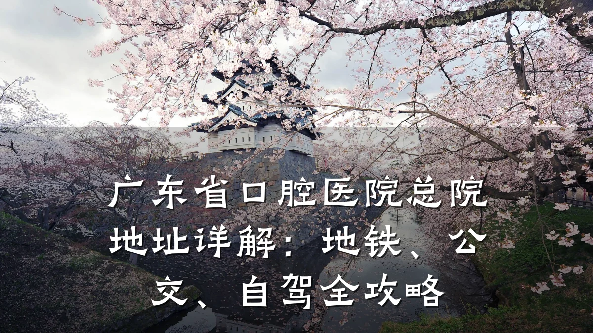 广东省口腔医院总院地址详解:地铁、公交、自驾全攻略