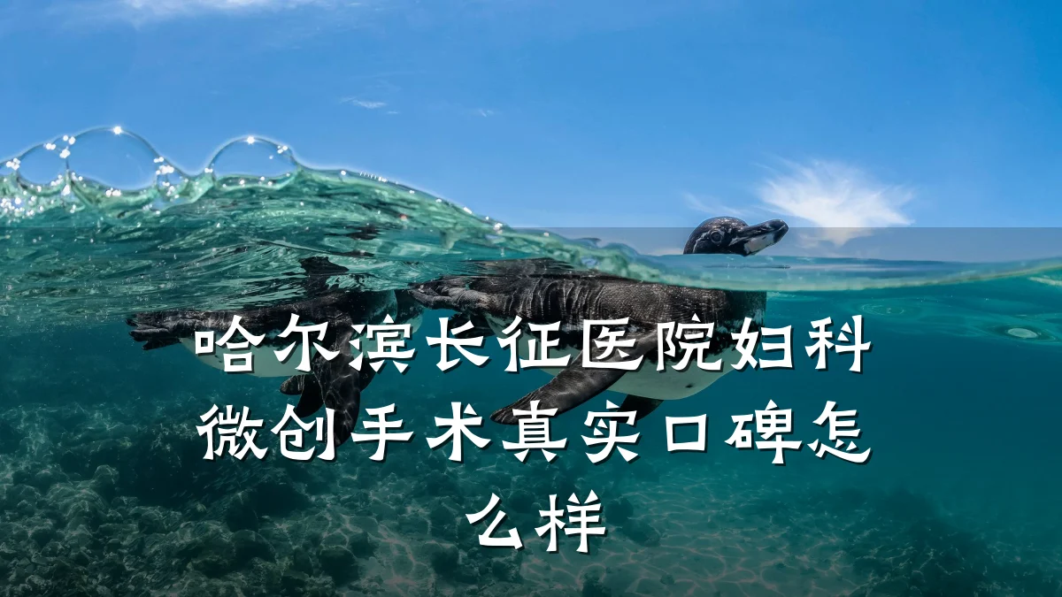 哈尔滨长征医院妇科微创手术真实口碑怎么样