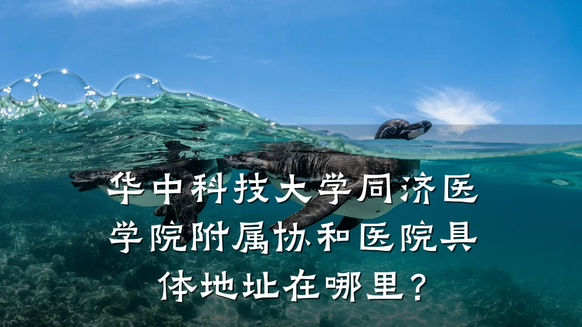 华中科技大学同济医学院附属协和医院具体地址在哪里?