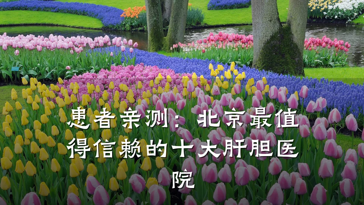 患者亲测：北京最值得信赖的十大肝胆医院