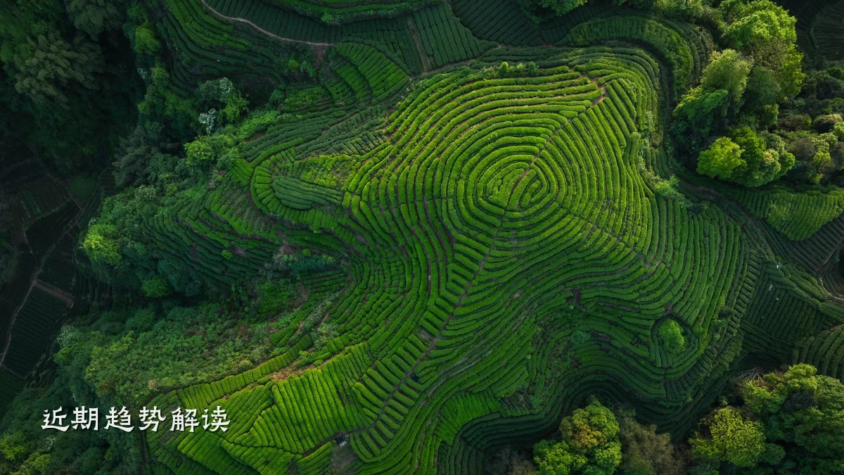 近期趋势解读