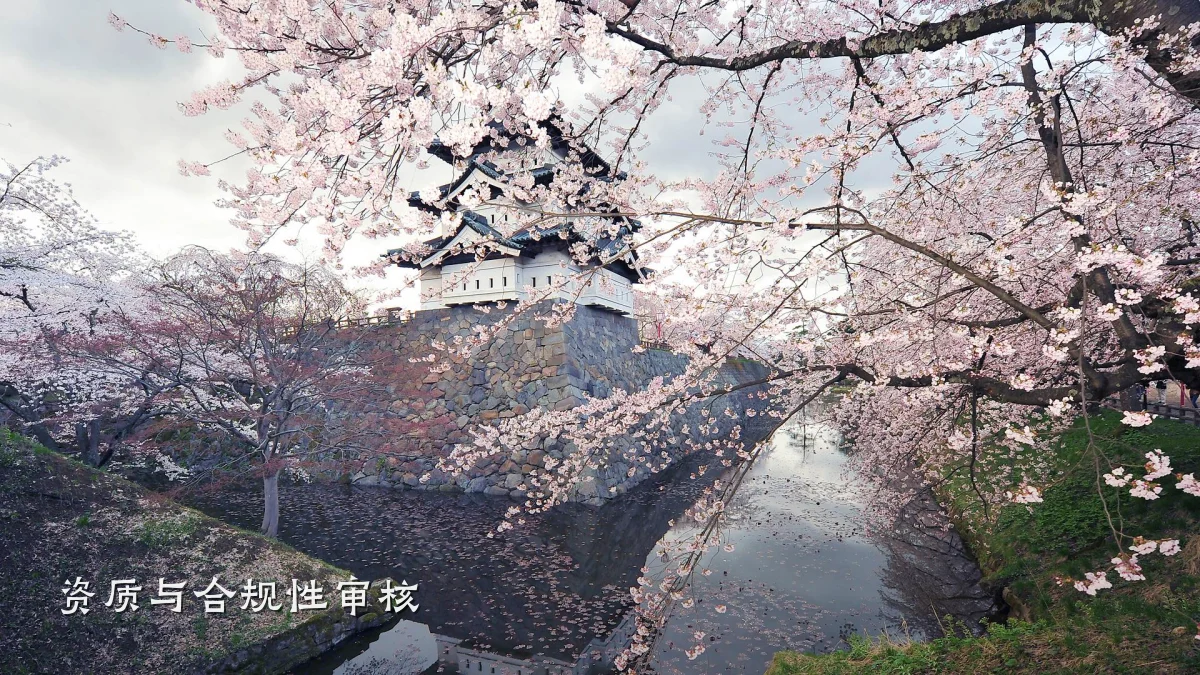 资质与合规性审核