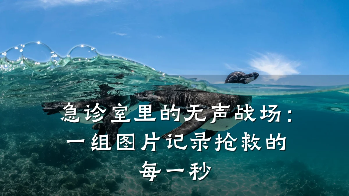 急诊室里的无声战场：一组图片记录抢救的每一秒