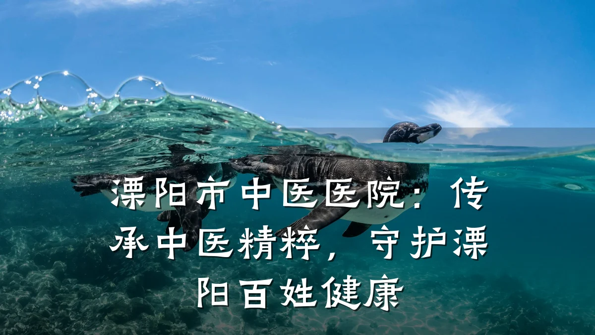 溧阳市中医医院:传承中医精粹,守护溧阳百姓健康