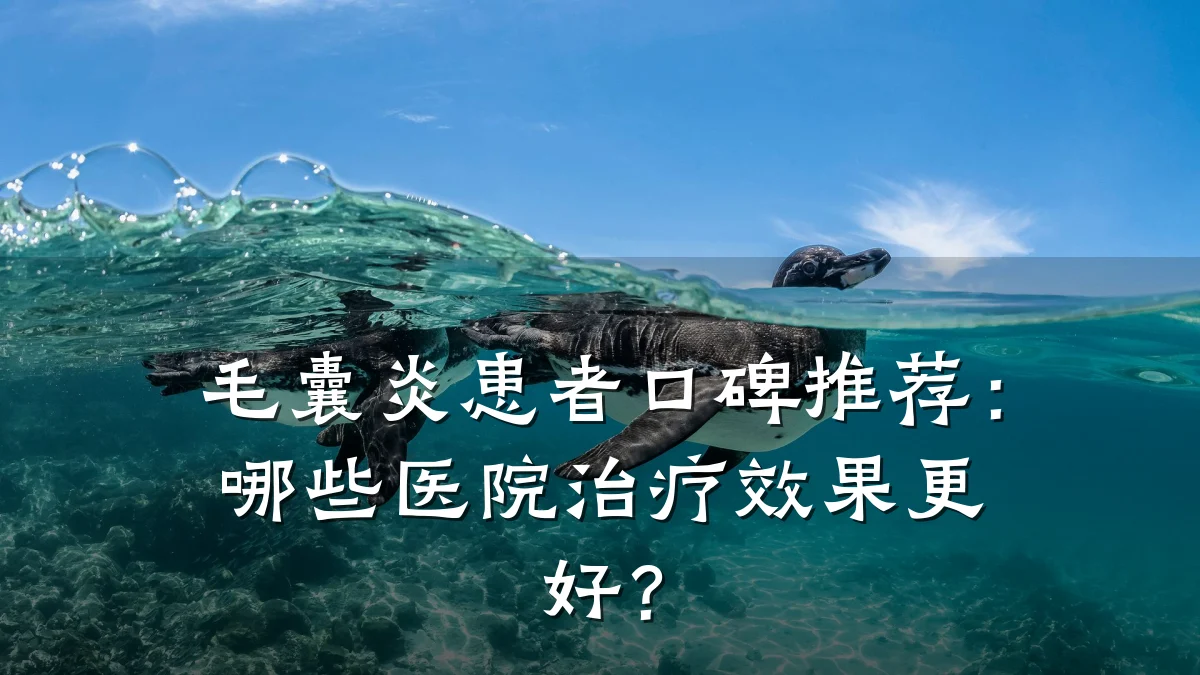 毛囊炎患者口碑推荐：哪些医院治疗效果更好？