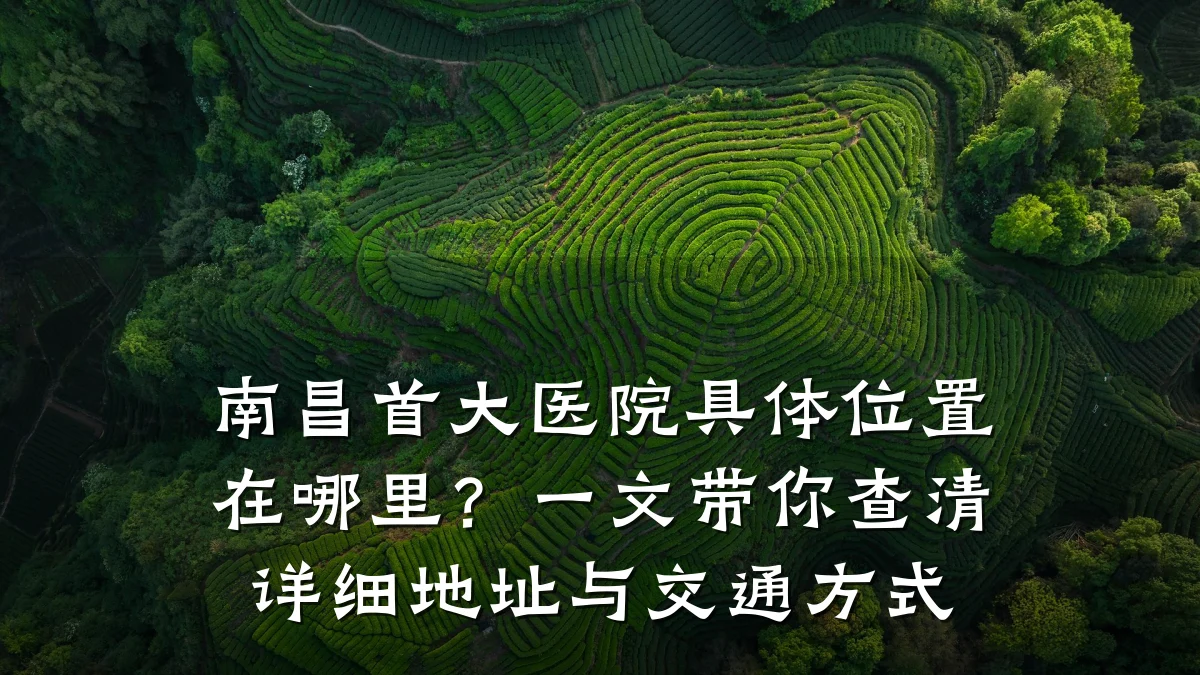 南昌首大医院具体位置在哪里?一文带你查清详细地址与交通方式