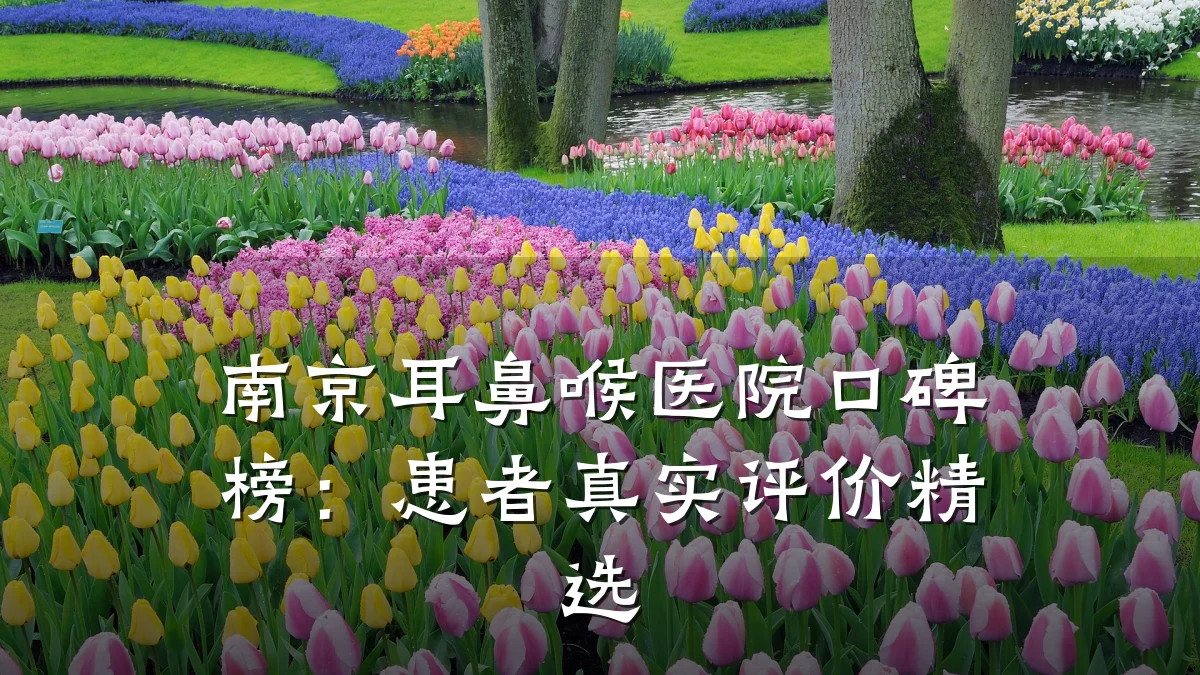 南京耳鼻喉医院口碑榜:患者真实评价精选