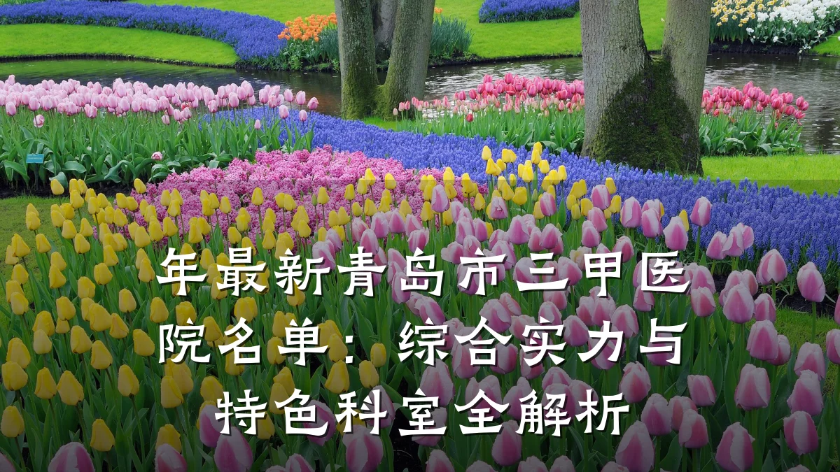 年最新青岛市三甲医院名单:综合实力与特色科室全解析