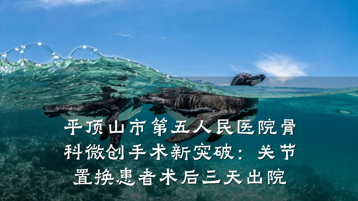 平顶山市第五人民医院骨科微创手术新突破:关节置换患者术后三天出院