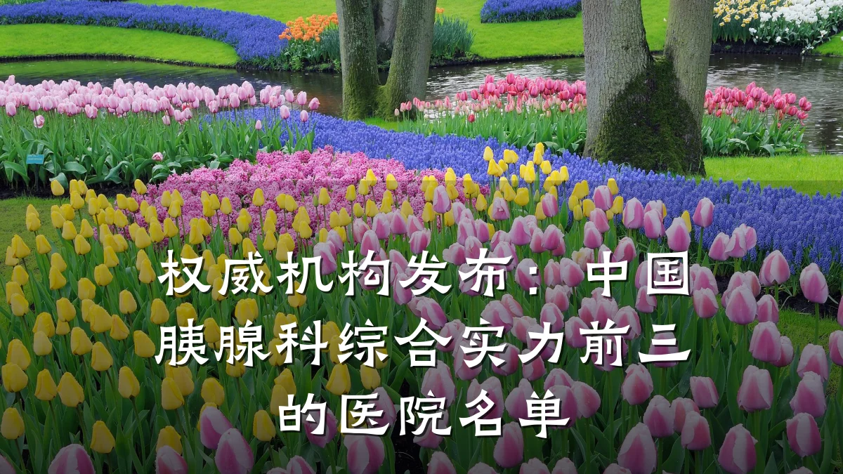 权威机构发布:中国胰腺科综合实力前三的医院名单