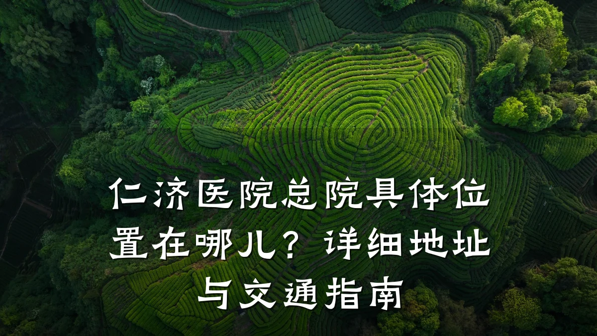 仁济医院总院具体位置在哪儿?详细地址与交通指南