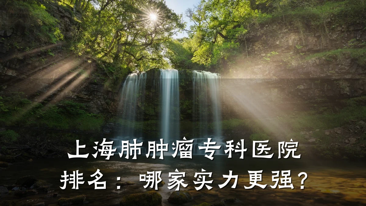 上海肺肿瘤专科医院排名:哪家实力更强?