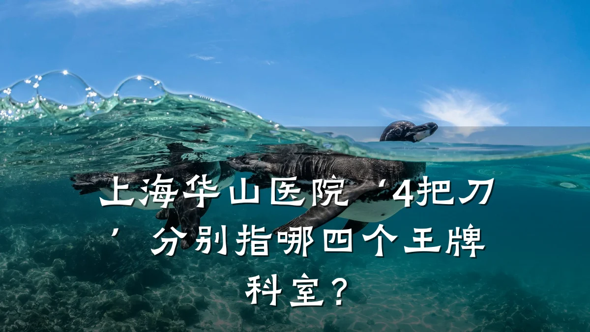 上海华山医院‘4把刀’分别指哪四个王牌科室?