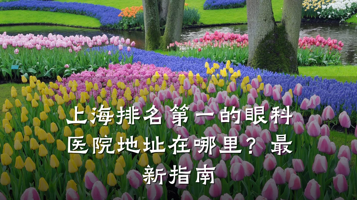 上海排名第一的眼科医院地址在哪里?最新指南