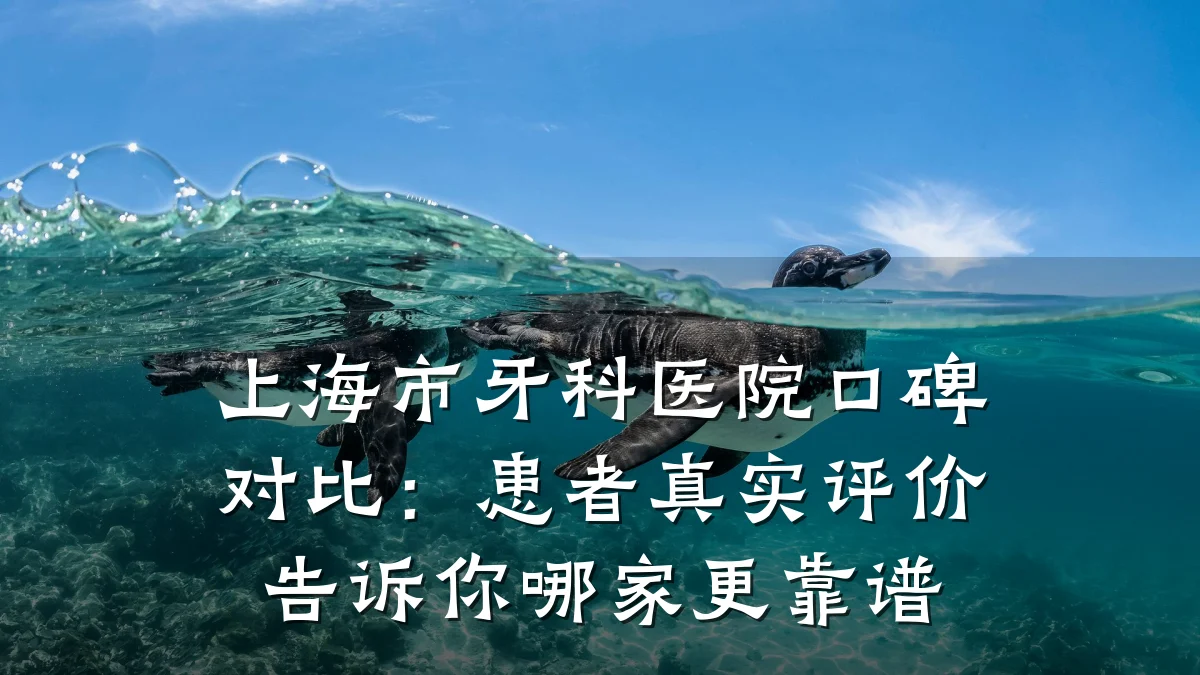 上海市牙科医院口碑对比:患者真实评价告诉你哪家更靠谱