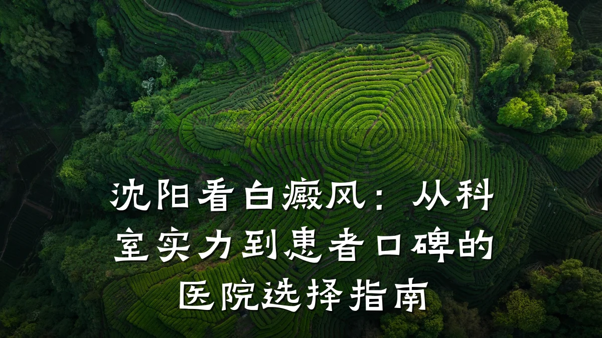 沈阳看白癜风:从科室实力到患者口碑的医院选择指南