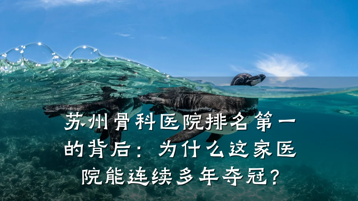 苏州骨科医院排名第一的背后:为什么这家医院能连续多年夺冠?
