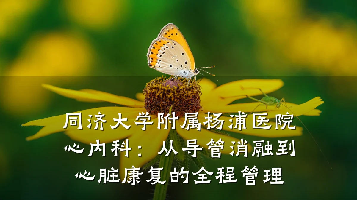 同济大学附属杨浦医院心内科:从导管消融到心脏康复的全程管理