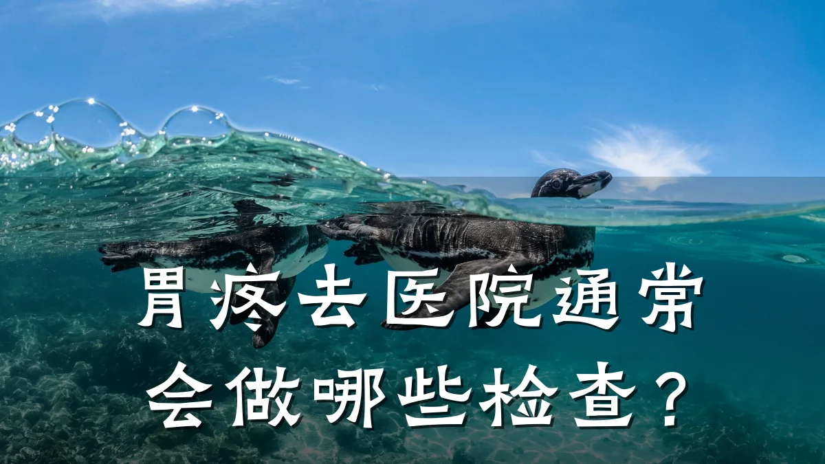 胃疼去医院通常会做哪些检查?
