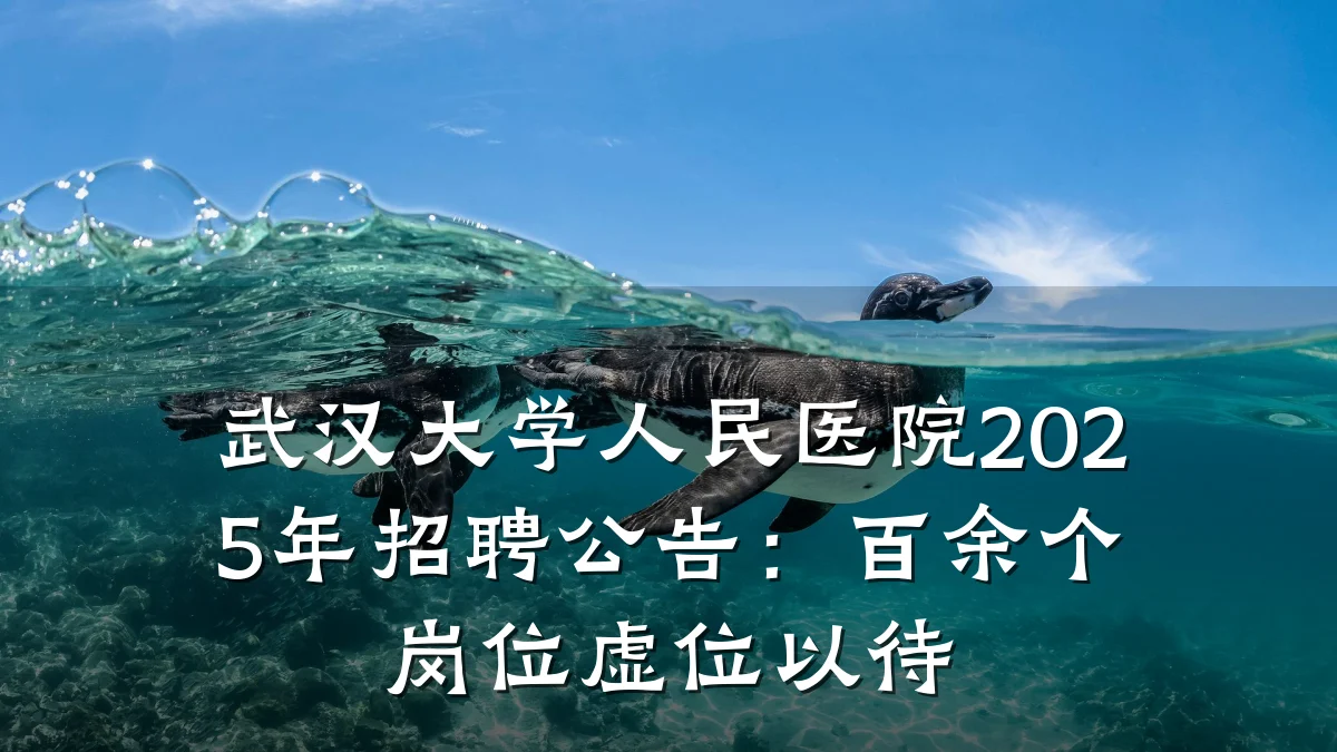 武汉大学人民医院2025年招聘公告:百余个岗位虚位以待