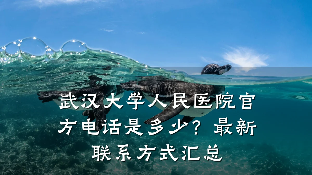 武汉大学人民医院官方电话是多少?最新联系方式汇总