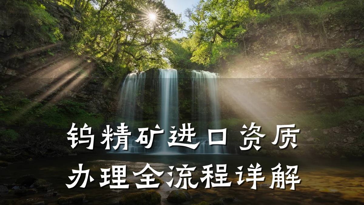 钨精矿进口资质办理全流程详解