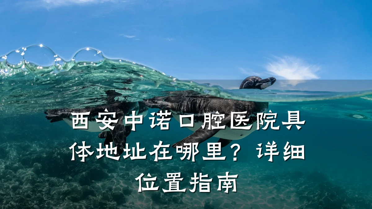 西安中诺口腔医院具体地址在哪里?详细位置指南