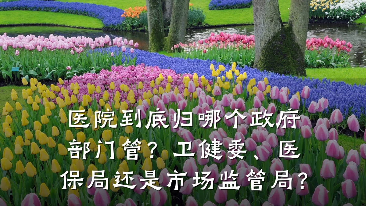 医院到底归哪个政府部门管?卫健委、医保局还是市场监管局?