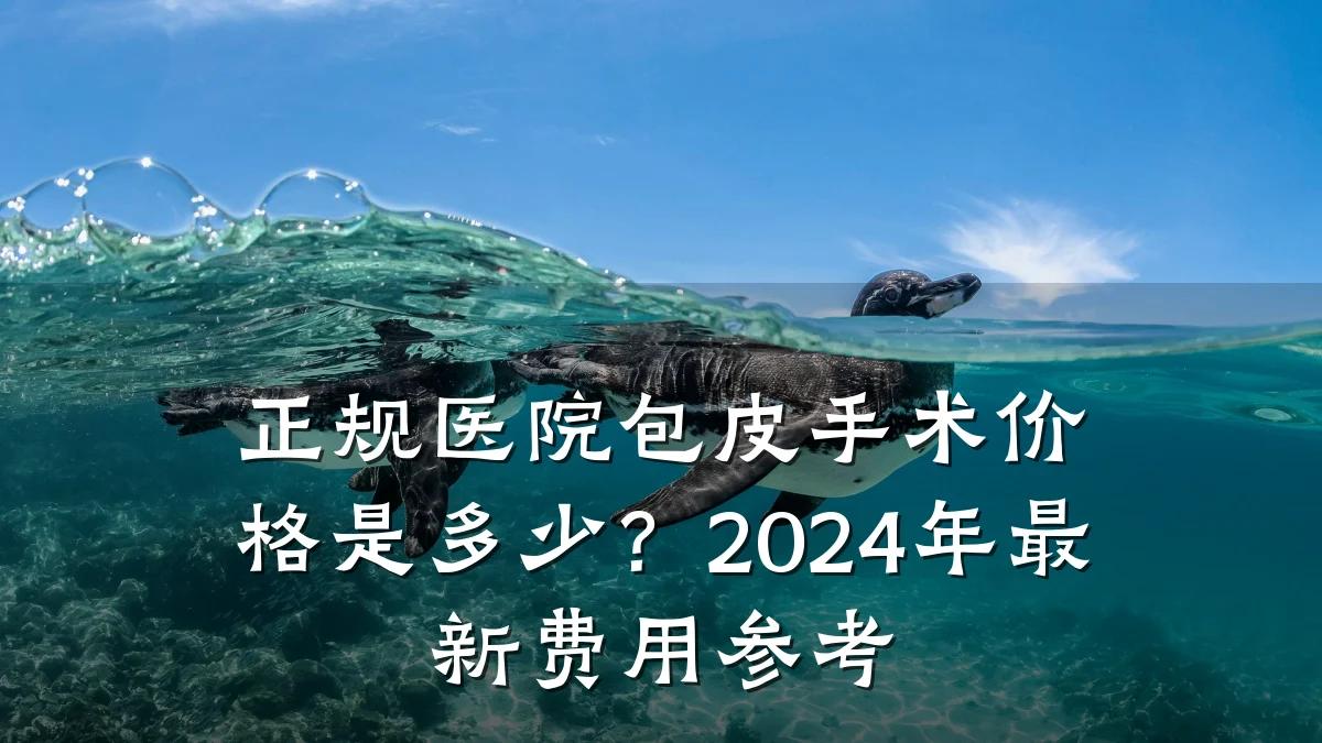 正规医院包皮手术价格是多少?2024年最新费用参考