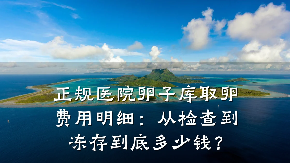 正规医院卵子库取卵费用明细:从检查到冻存到底多少钱?