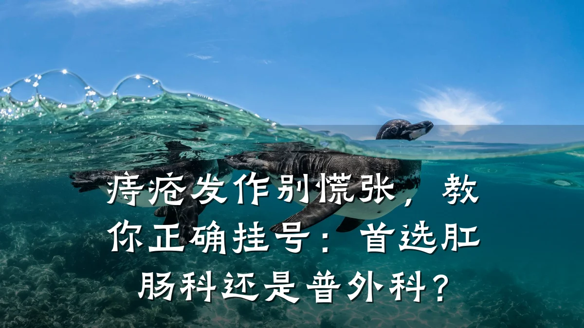 痔疮发作别慌张,教你正确挂号:首选肛肠科还是普外科?