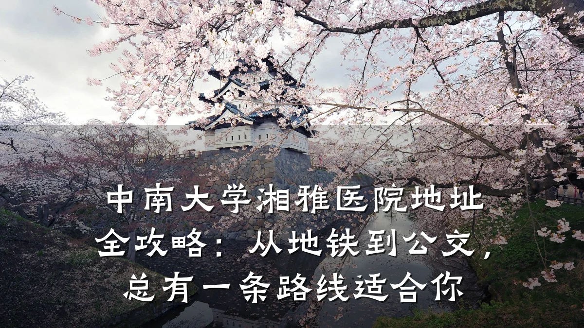 中南大学湘雅医院地址全攻略:从地铁到公交,总有一条路线适合你