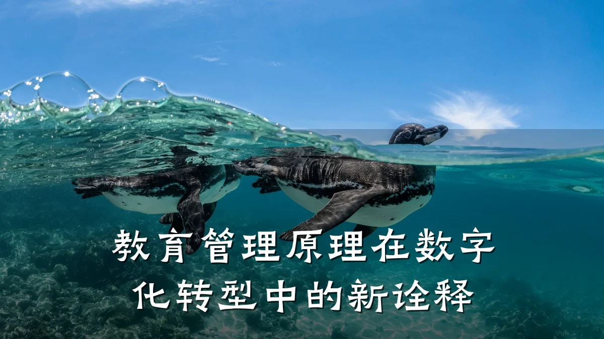 教育管理原理在数字化转型中的新诠释