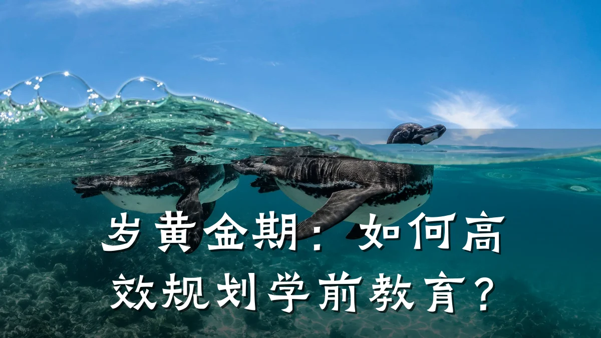 岁黄金期：如何高效规划学前教育？